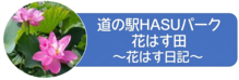 道の駅ふれあいの里HASUパーク　花はす田